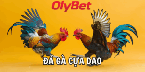 Hình Thức Cược Trong Đá Gà Cựa Dao Olybet