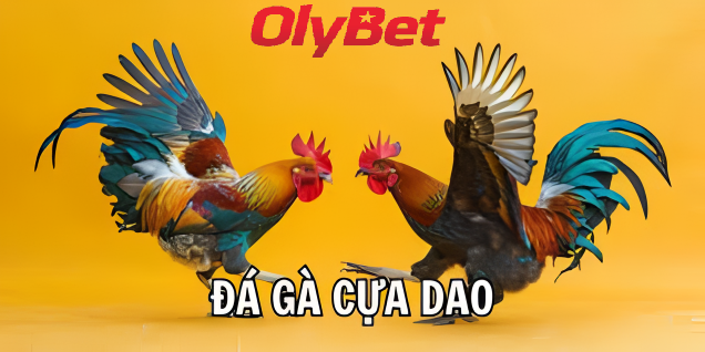 Hình Thức Cược Trong Đá Gà Cựa Dao Olybet