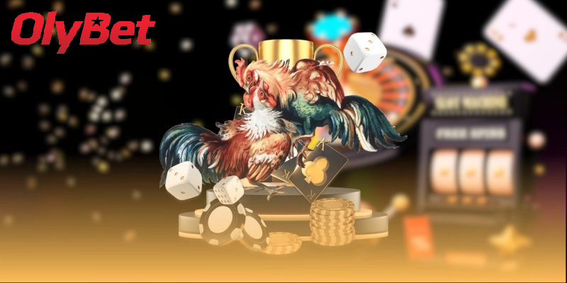 Chiến Lược Chơi Đá Gà Olybet Hiệu Quả