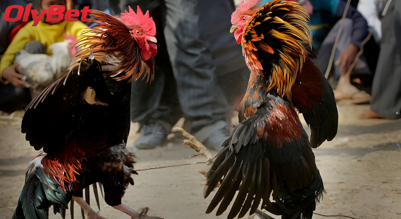 Khái Niệm và Những Đặc Trưng Nổi Bật