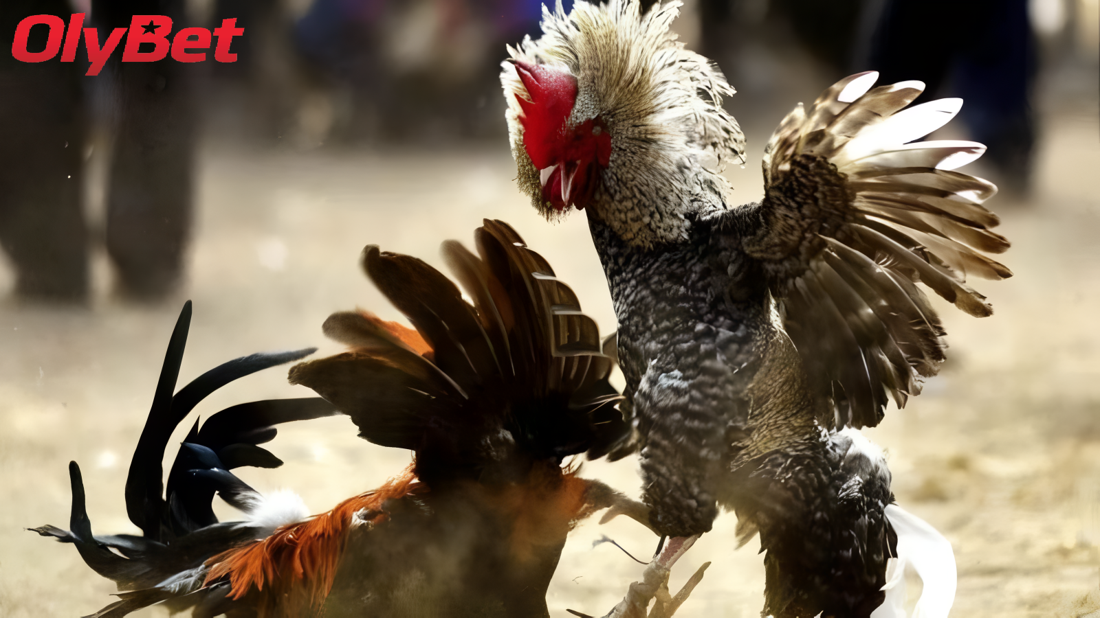 Chế Độ Dinh Dưỡng và Lưu Ý